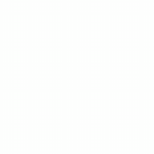 Success Icon